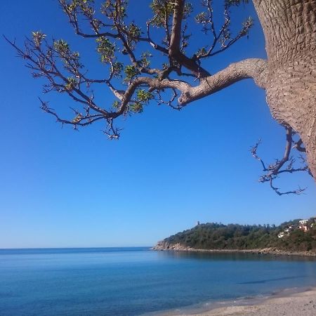 Appartement Un Po Di Relax A Pochi Passi Dal Mare! à Àrbatax Extérieur photo