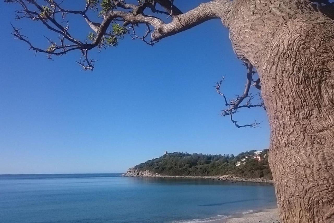 Appartement Un Po Di Relax A Pochi Passi Dal Mare! à Àrbatax Extérieur photo